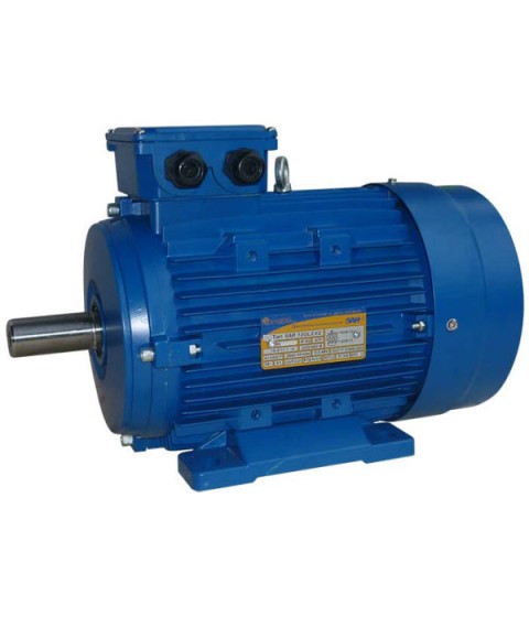5ai100L2_1081.jpg 5ai100L2_1081.jpg